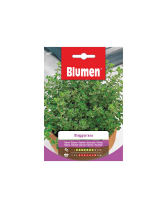 Semi di maggiorana Blumen