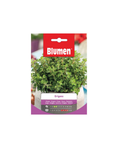 Semi di origano Blumen