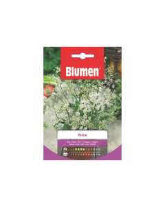 Semi di anice Blumen