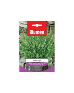 Semi di santoreggia Blumen