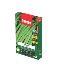 Semi di Fagiolino nano Spaghetto