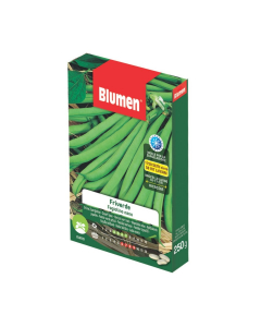 Semi di Fagiolino nano Friverde