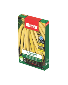 Semi di Fagiolino nano De Roquencourt