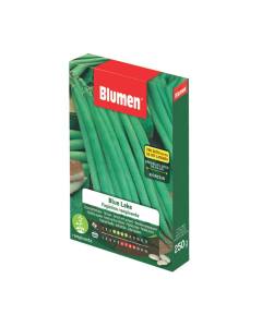 Semi di Fagiolino rampicante Blue Lake