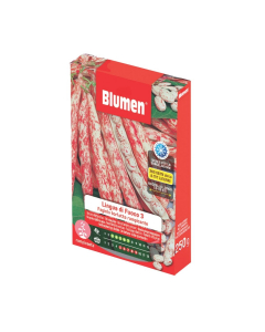 Semi di Fagiolo borlotto rampicante Lingua di Fuoco 3