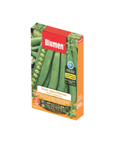 Semi Pisello rampicante Alderman