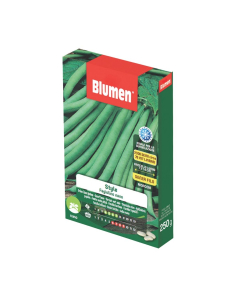 Semi di Fagiolino nano Style