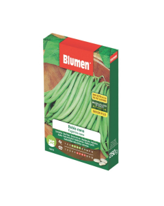 Semi di Fagiolino nano Bobis 