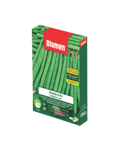 Semi di Fagiolino nano Slenderette