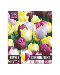 Bulbi di Tulipa yellow, purple & lilac Lovely Combinations Kapiteyn 15pz