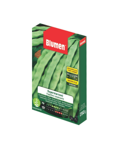 Semi di Fagiolini rampicanti Supermarconi