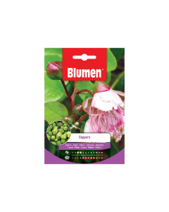 Semi di cappero Blumen