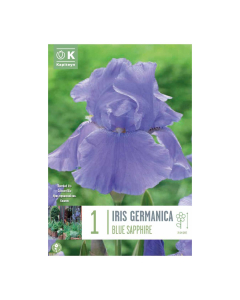 Bulbi di iris Germanica Blue Sapphire Kapiteyn 1 pz