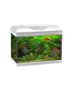 Acquario Amtra Basic LED 40 White 25L