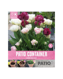 Bulbi da vaso Tulips Double Pastel Kapiteyn 12pz