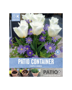 Bulbi da vaso White Tulips & Blue Anemone Kapiteyn 20pz