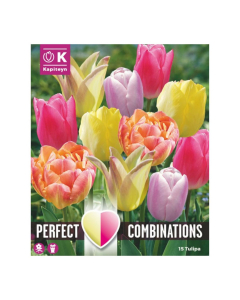Bulbi di Tulipa Soft Tones Perfect Combinations Kapiteyn 15pz