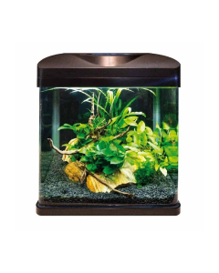 Nano acquario Amtra Laguna Led 50