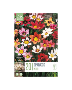 Bulbi di Sparaxis Mix Kapiteyn 20 pz