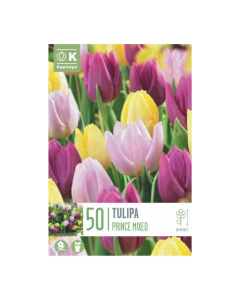 Bulbi di Tulipa Single Early Prince Mixed Colours Kapiteyn 50 pz