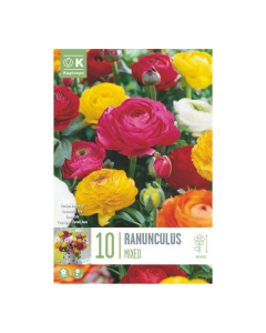 Bulbi di Ranunculus Mixed Colours Kapiteyn 10 pz