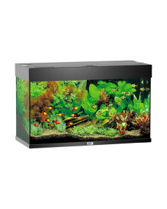 Acquario Juwel Rio Led 125 L 