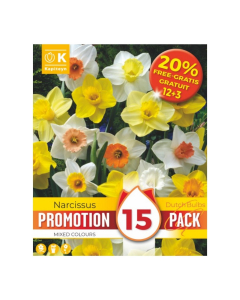Bulbi di Narcissus Mixed Colours Kapiteyn 15 pz