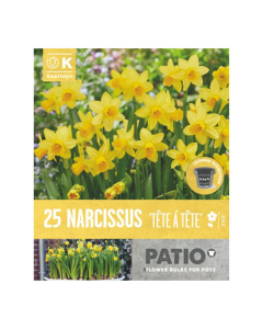 Bulbi da vaso Narcissus Tête à Tête Kapiteyn 25pz