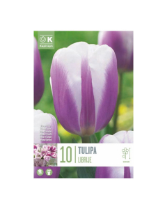 Bulbi di tulipani librije