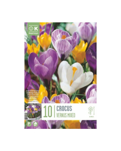 Bulbi di crocus large flowering colori misti