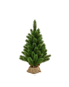 Pino Evergreen con base in juta