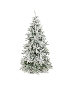 Abete di Natale innevato Montana