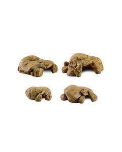 Tana per rettili Reptile Cave per terrario Exo terra