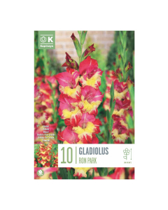 Bulbi di Gladioli Ron Park Kapiteyn 10 pz