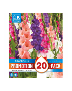 Bulbi di Gladioli Pastel Mix Kapiteyn 20 pz