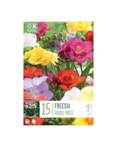 Bulbi di Fresia Double Mix Kapiteyn 15 pz