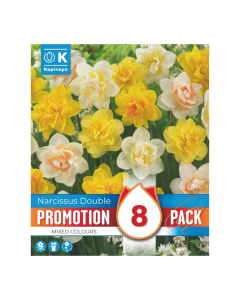 Bulbi di Narcissus Double Mixed Colours Kapiteyn 8 pz
