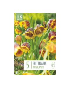 Bulbi di Fritillaria Michailovskyi Kapiteyn 5 pz