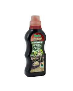 Flortis Energy Starter concime per giovani piantine – 500 ml