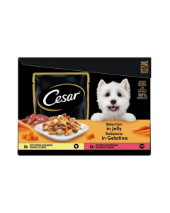 Cesar Selezione in Gelatina cibo umido per cani Multipack 12x100g