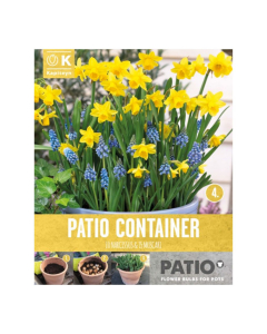 Bulbi da vaso Narcissus & Muscari Kapiteyn 25pz