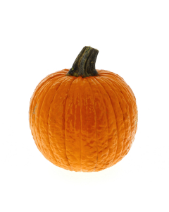 Zucca ornamentale arancio Halloween Piccola 2/3kg