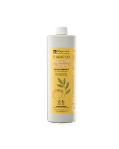 Shampoo Bio Salvia e Limone La Saponaria cute e capelli grassi