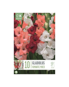 Bulbi di Gladioli Romantic Mixed Kapiteyn 10 pz