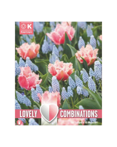 Bulbi di Tulipa & Muscari Lovely Combinations Kapiteyn 20pz