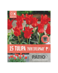 Bulbi da vaso Tulipa Park Dreamway 15pz