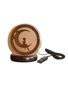 Lampada di sale USB con sagoma