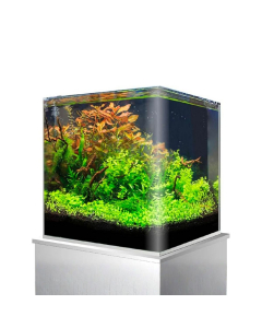 Acquario Amtra Nanotank 90 Extrachiaro