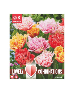 Bulbi di Tulipa Crispa Mix Lovely Combinations Kapiteyn 12pz