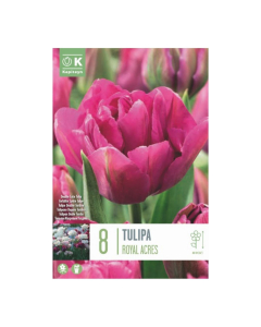 Bulbi di Tulipa Double Early Royal Acres Kapiteyn 8 pz